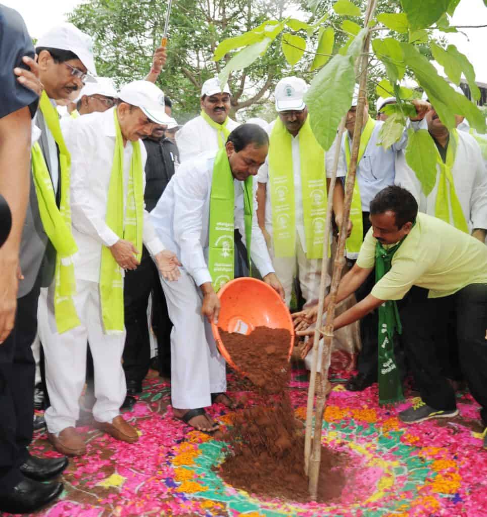 haritha-haram-chief-minister