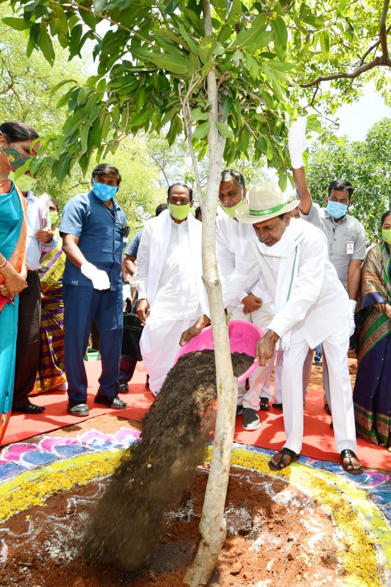 Chief Minister Sri K. Chandrashekar Rao launched the sixth phase of the Haritha Haram