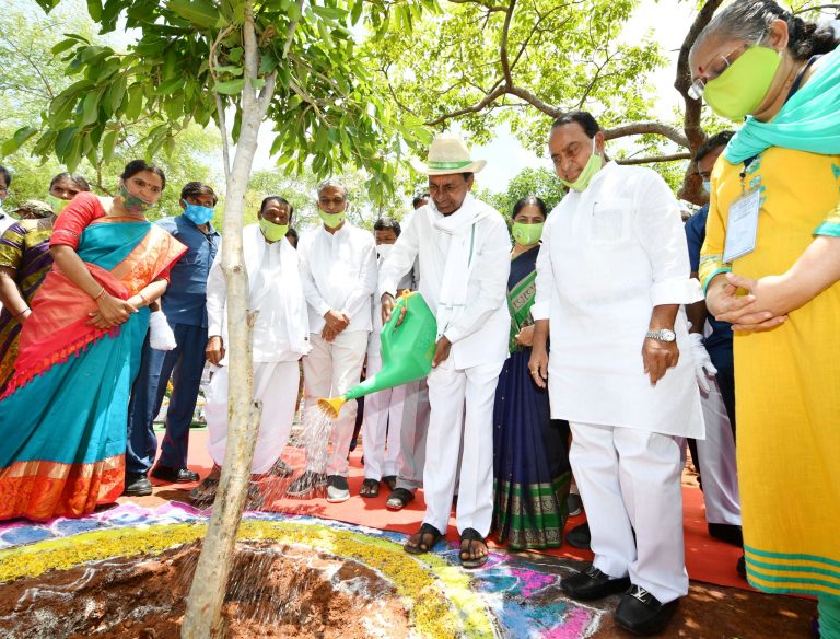 Chief Minister Sri K. Chandrashekar Rao launched the sixth phase of the Haritha Haram